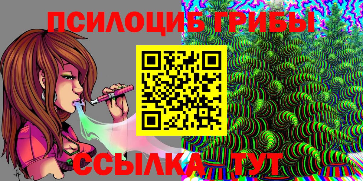Галлюциногенные грибы Cubensis Славгород