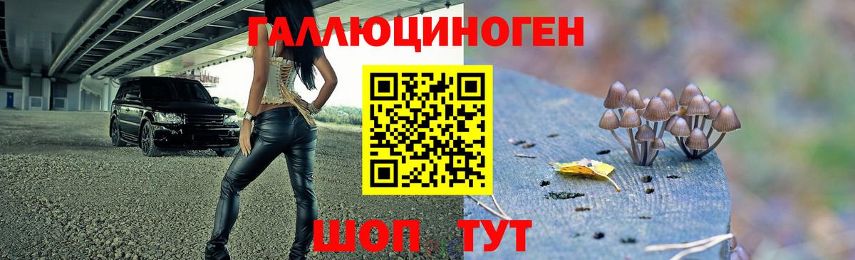 Галлюциногенные грибы прущие грибы  Вход с VPN  Славгород 